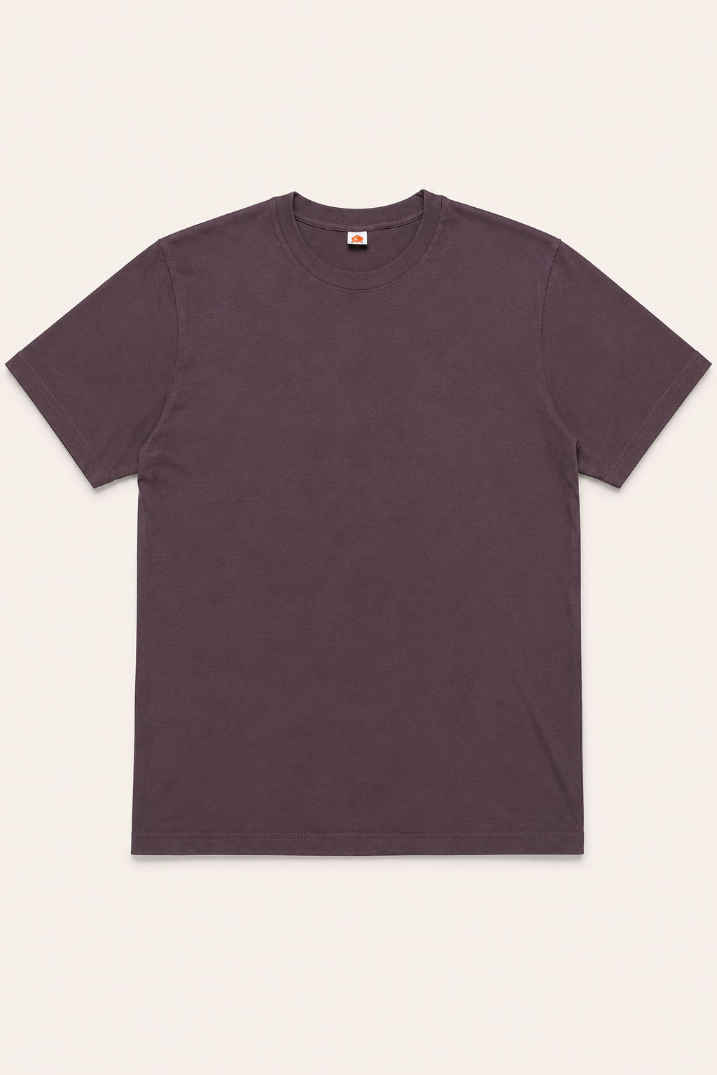 T-Shirt Prune Homme 100% Coton – T-Shirt Basique Premium ALDIZ
