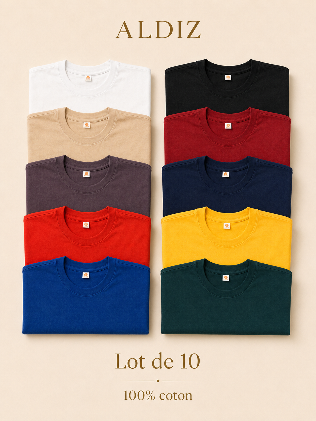 Lot de 10 T-Shirts Homme 100% Coton – Pack Premium ALDIZ Couleurs Variées
