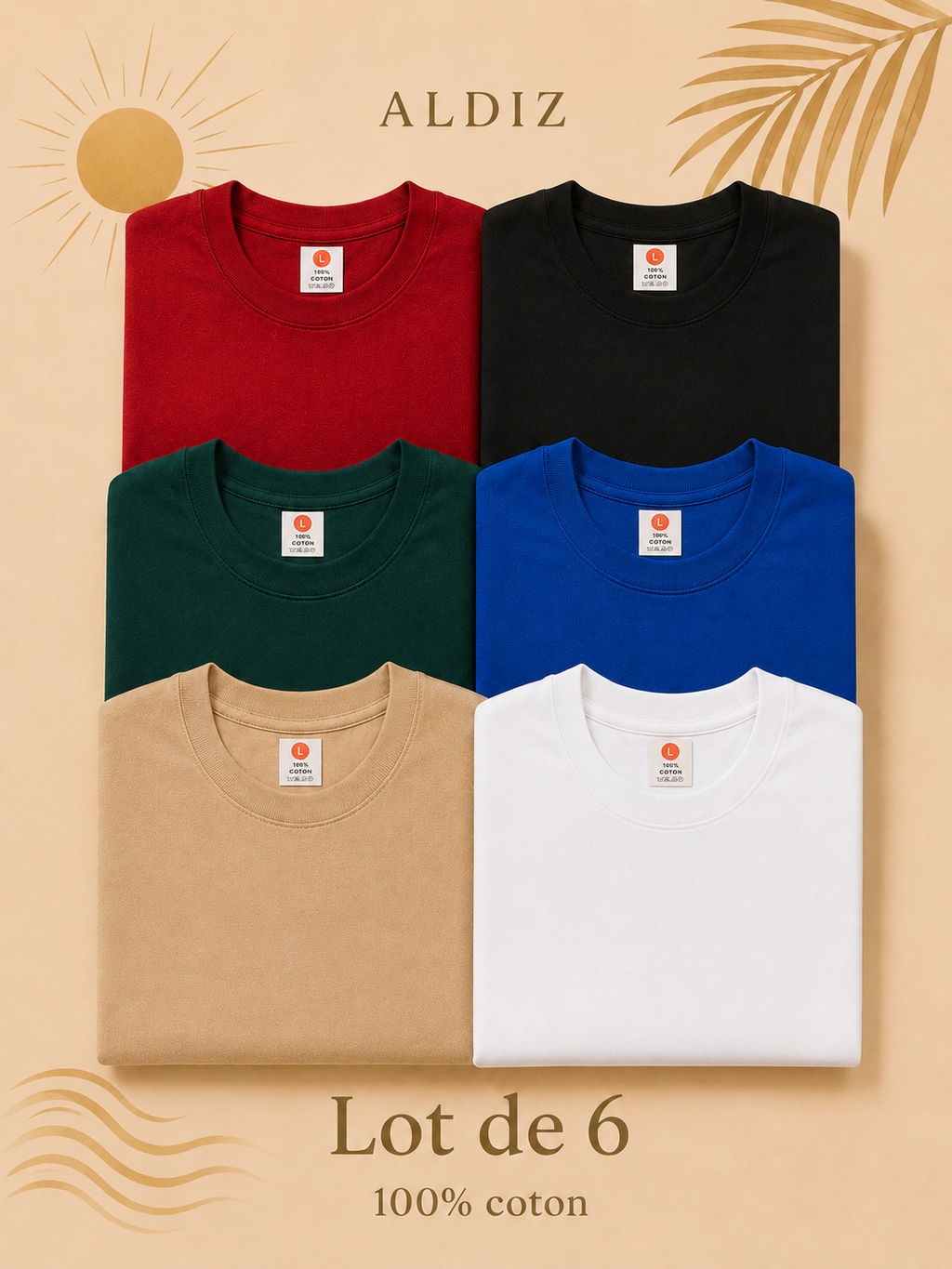 Lot de 6 T-Shirts Homme 100% Coton – Pack Premium ALDIZ