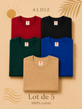 Lot de 5 T-Shirts Homme 100% Coton – Pack Premium ALDIZ Couleurs Essentielles